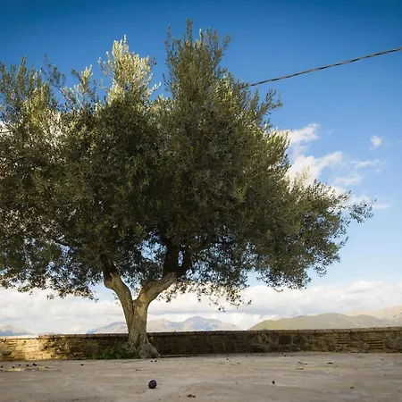 αρχοντικό γκιντώνη Λεβίδι