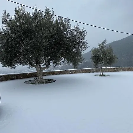 αρχοντικό γκιντώνη Apartment