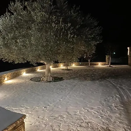 αρχοντικό γκιντώνη Appartement Levídhion