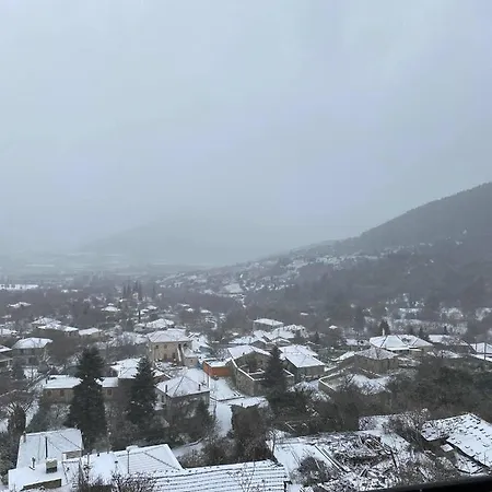 αρχοντικό γκιντώνη Apartment