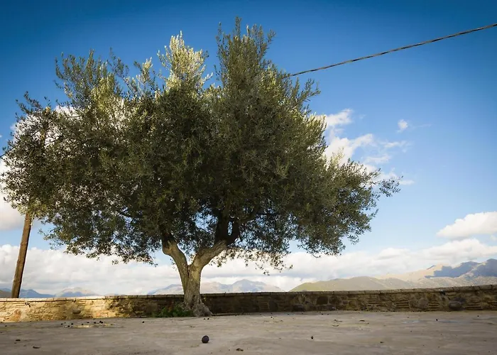 αρχοντικό γκιντώνη Levídhion