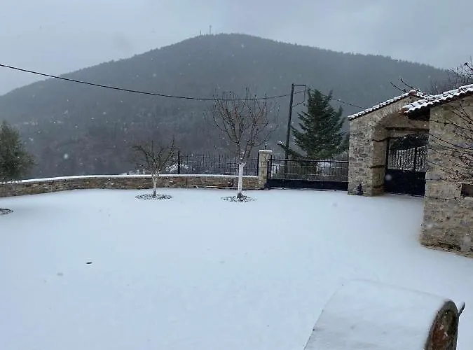 αρχοντικό γκιντώνη Apartamento