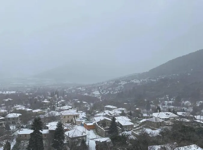 αρχοντικό γκιντώνη Apartamento