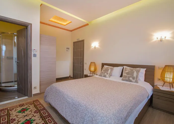 αρχοντικό γκιντώνη *