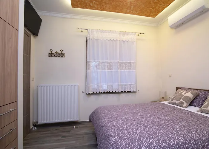 αρχοντικό γκιντώνη Apartamento *